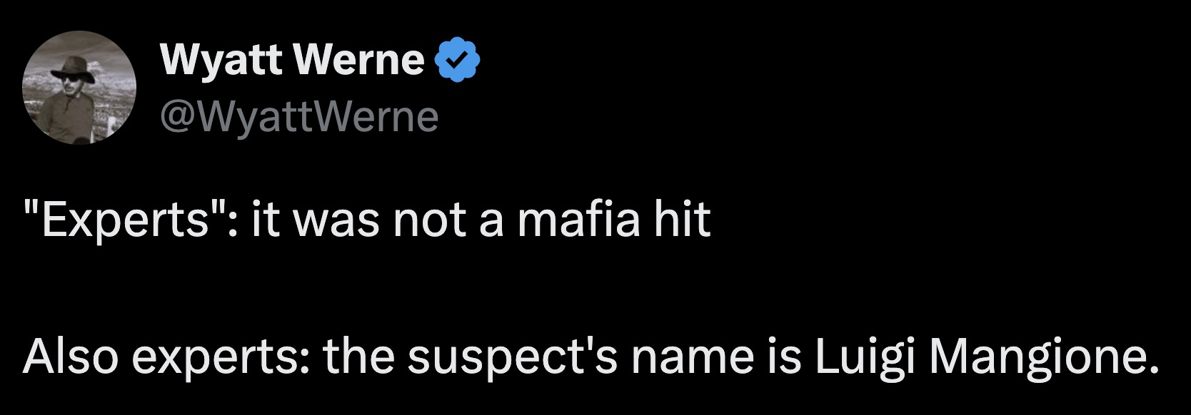 screenshot - Wyatt Werne "Experts" it was not a mafia hit Also experts the suspect's name is Luigi Mangione.